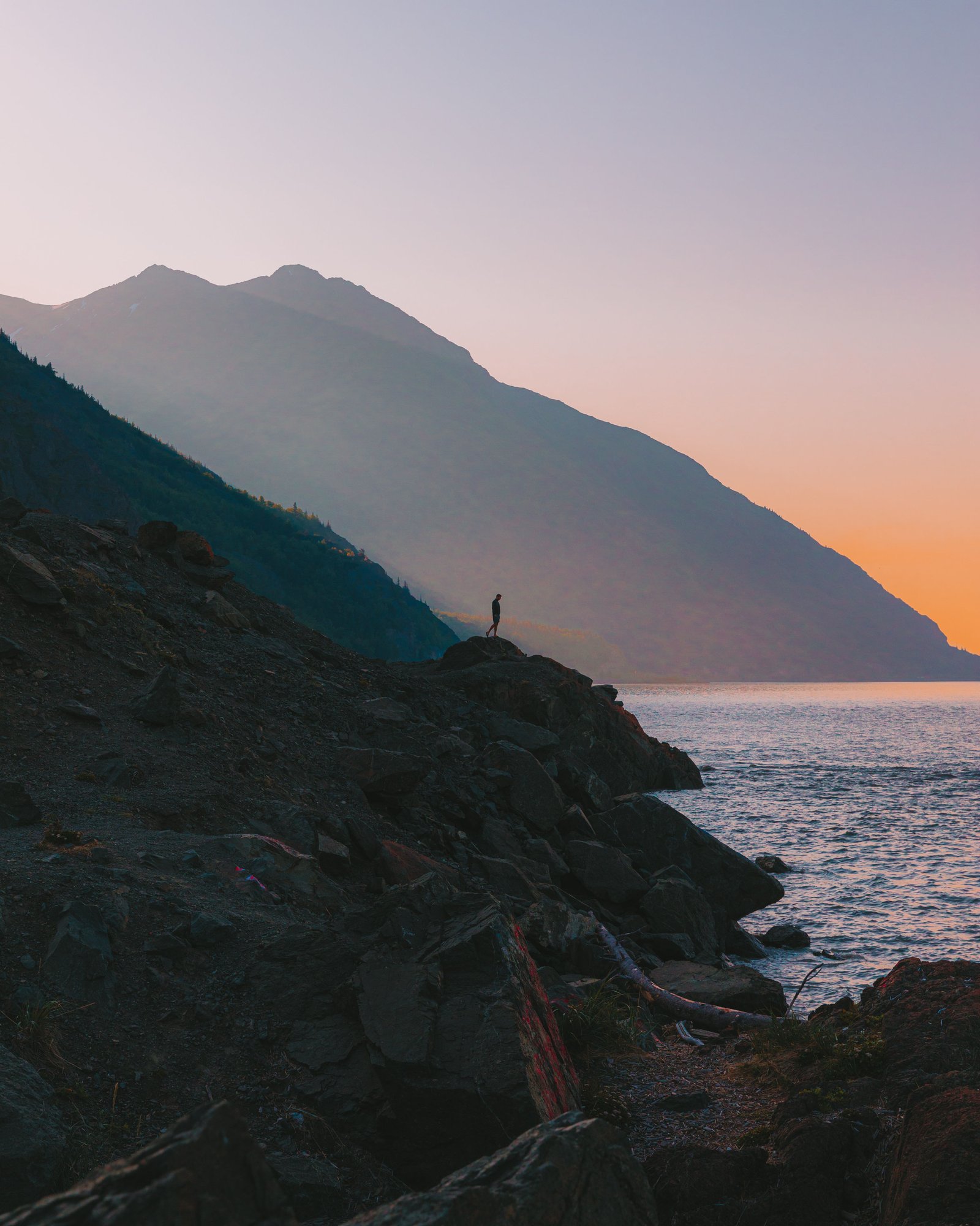 Alaskan alpine landscape